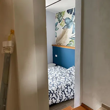 Canto Del Bosco Busca